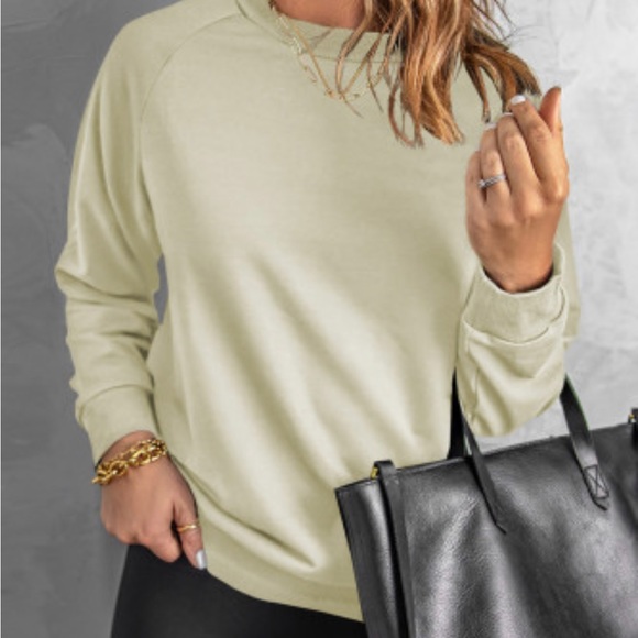 Beige Crew Neck Raglan Sleeve Sweatshirt - Picture 8 of 11